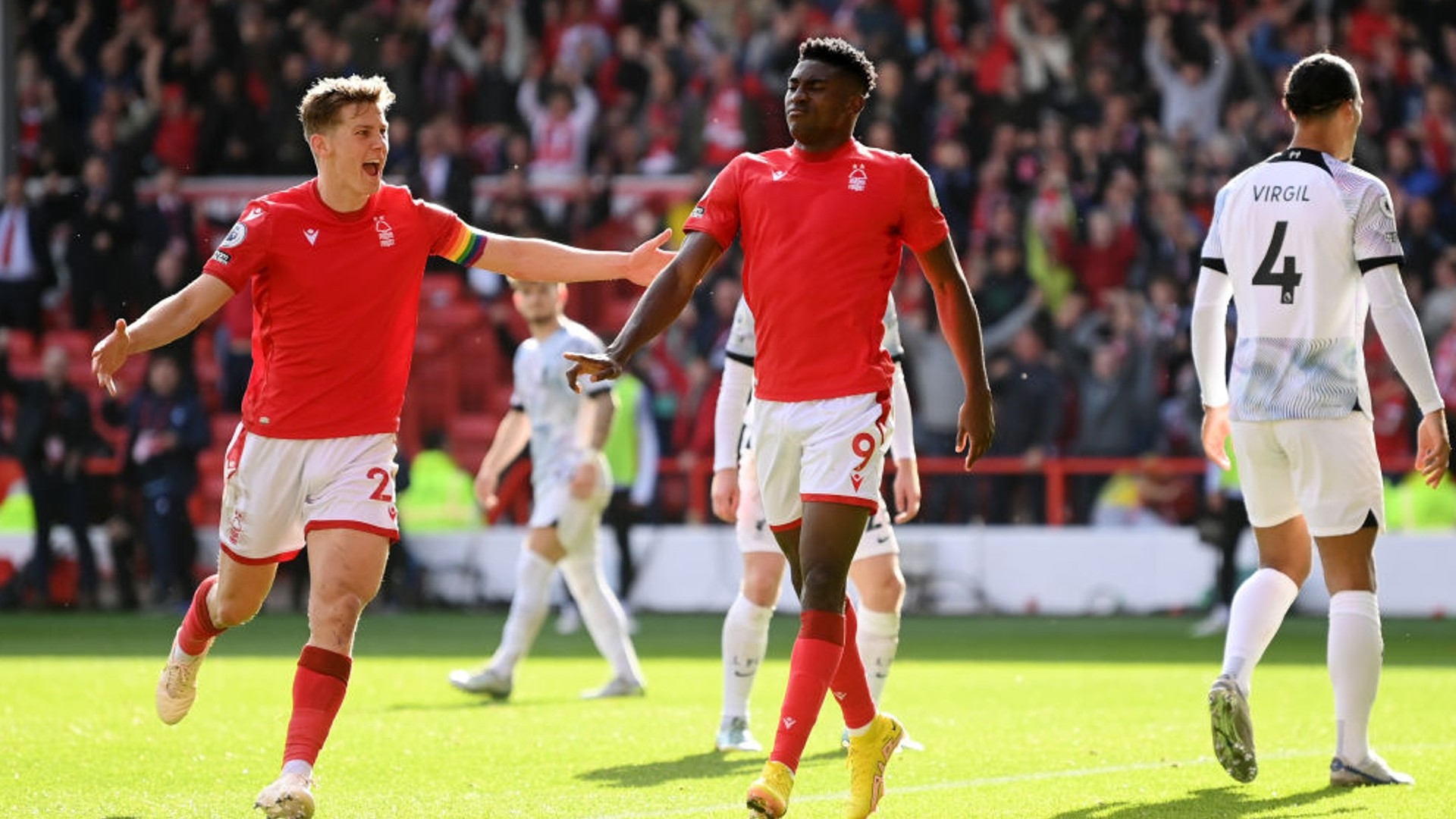 小猪的故事 小猪的故事